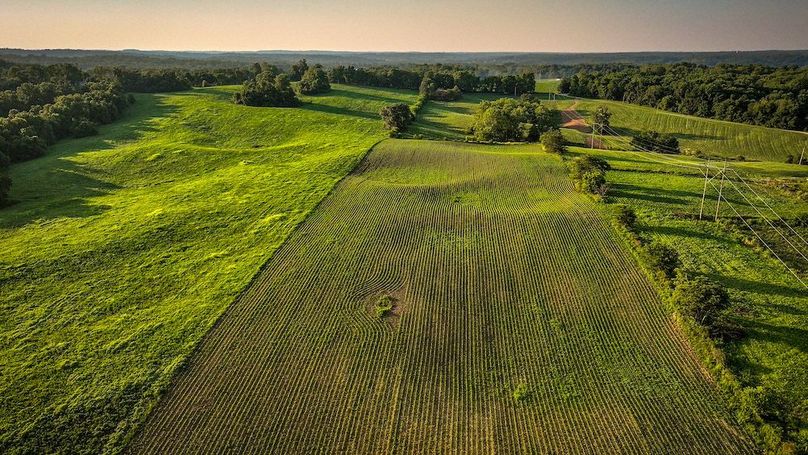 dji_fly_20250705_195510_0425_1751759910824_photo