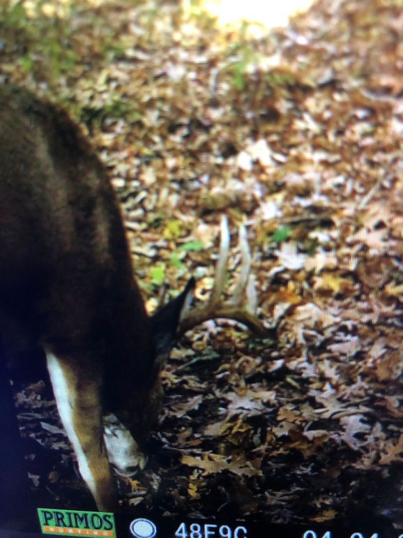 59486847994__F9C6E4D3-DA38-471B-A76B-0CCF402506BE