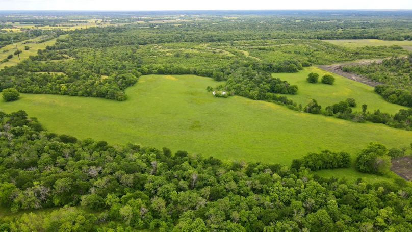 dji_fly_20230428_161528_867_1682716559258_photo