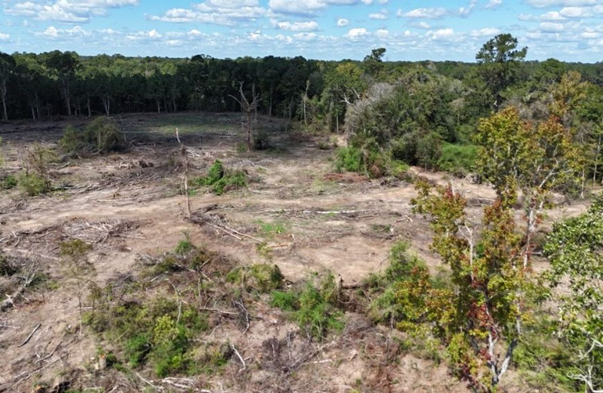 DJI_20250925122641_0004_D