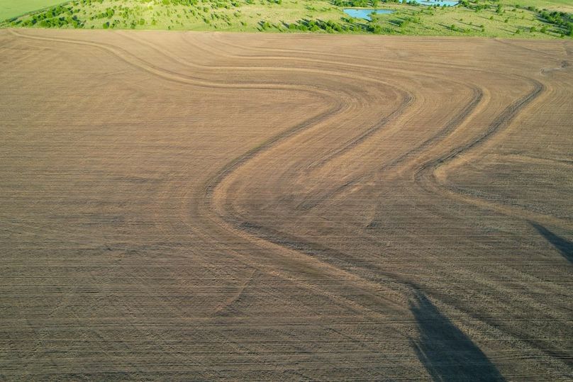 DJI_0571