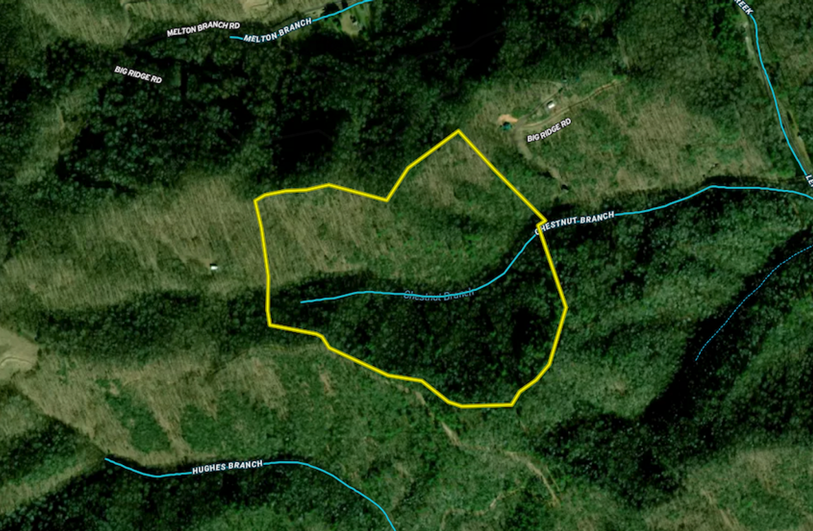 Screenshot 2024-06-20 at 11.34.27 AM