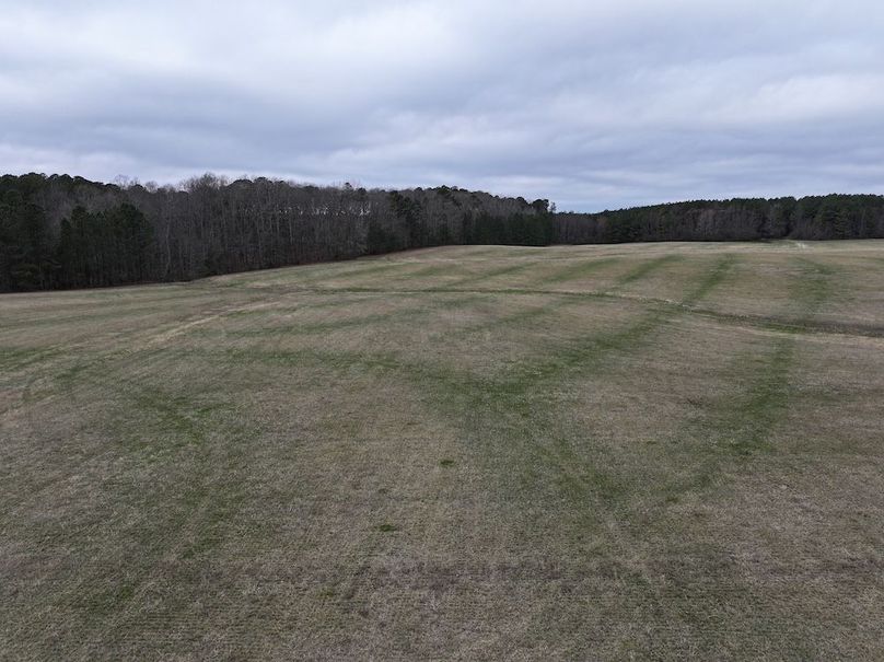 dji_fly_20260219_134858_0578_1772565812986_photo