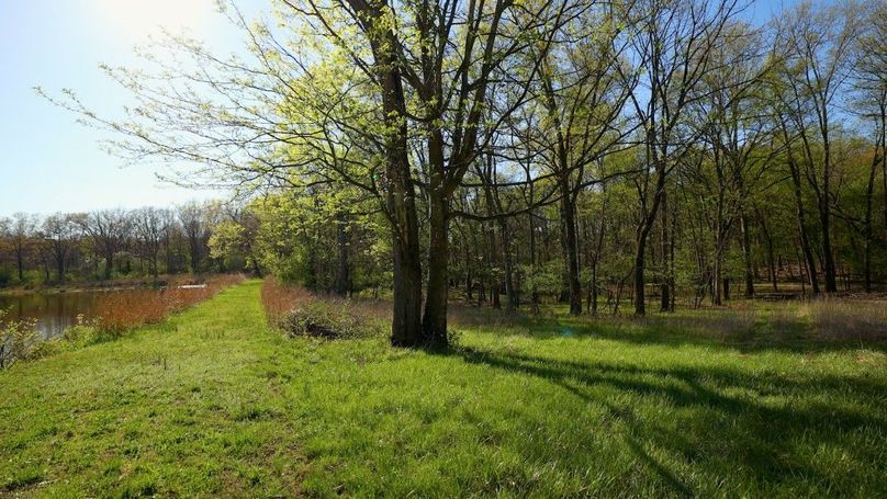 WILLIAMSON, IL 65.00_00_30_04.Still004