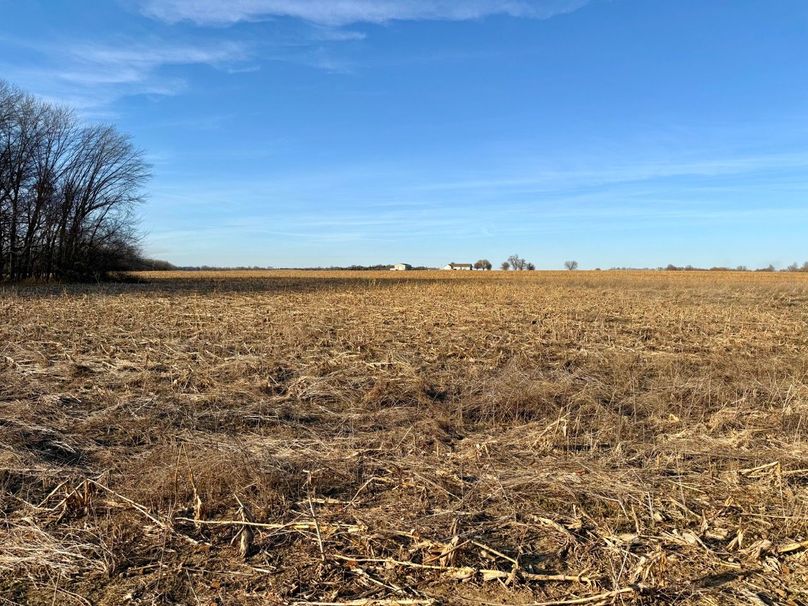 Copy of IMG_7186 Large