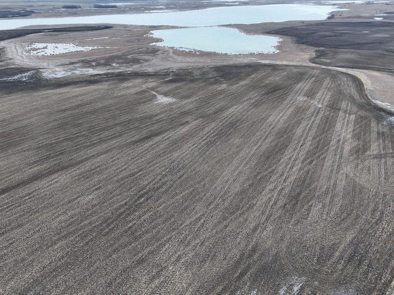 DJI_20260216150140_0082_D