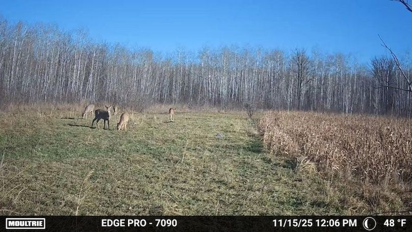 image639020105749662640