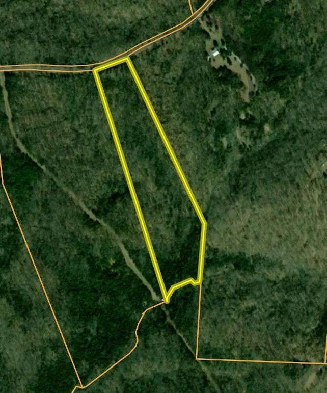 4886541A-52E1-415C-93DF-2672B57E647A