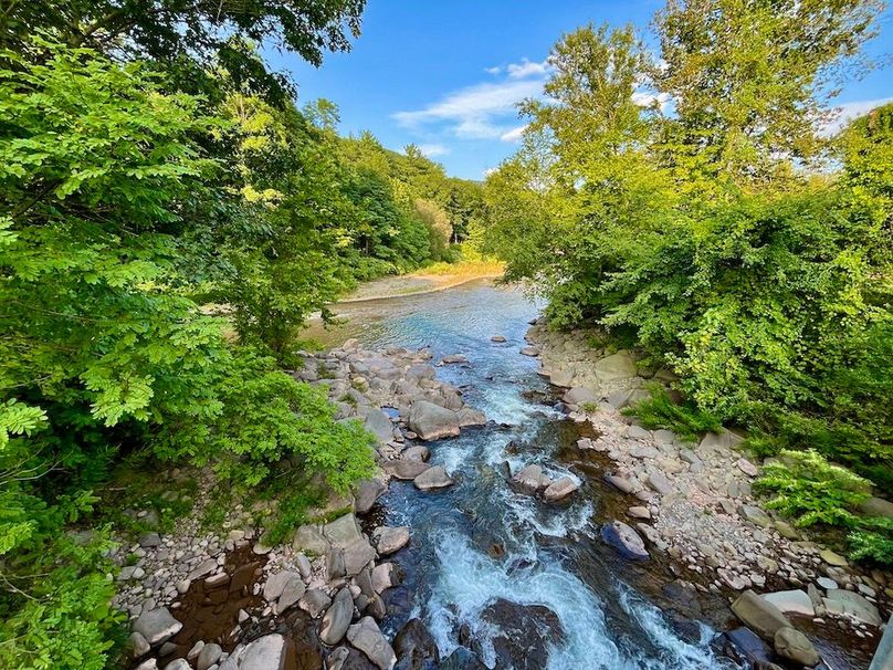 p46 Woodland Creek Intersecting with Esopus Creek