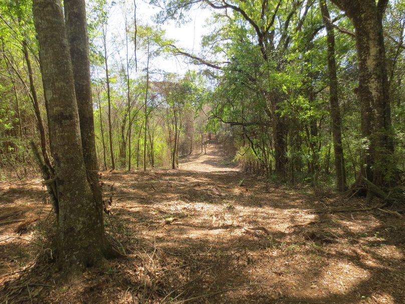 C5D2D0CB-ECBD-4BC0-8145-851E92611B02_1_105_c