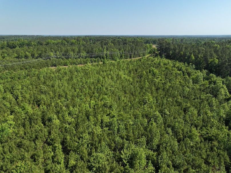 DJI_20260518101454_0941_D