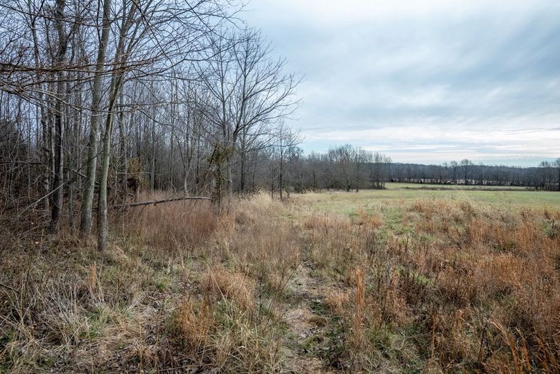 Copy of DSC00756 Large