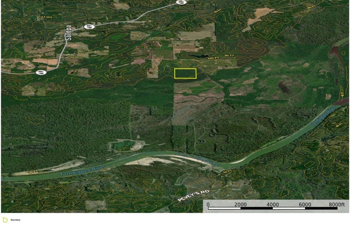 Aerial #2 Approx. 40 Acres Clarke County, AL