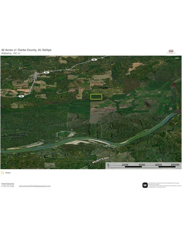 Aerial #2 Approx. 40 Acres Clarke County, AL