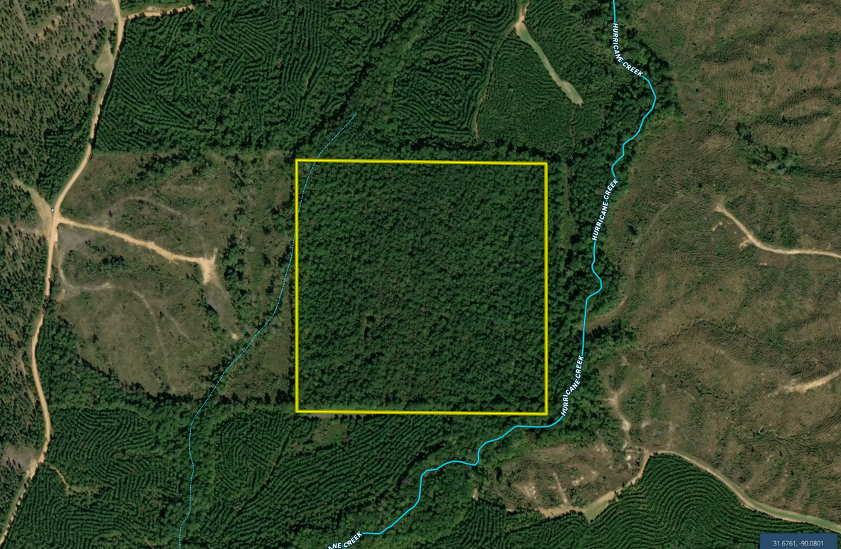 Screen Shot 2023-02-03 at 10.30.27 PM