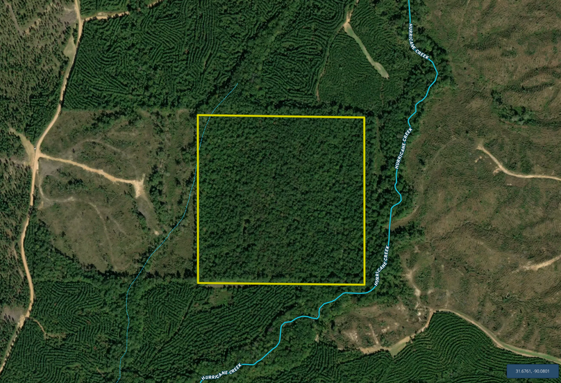 Screen Shot 2023-02-03 at 10.30.27 PM