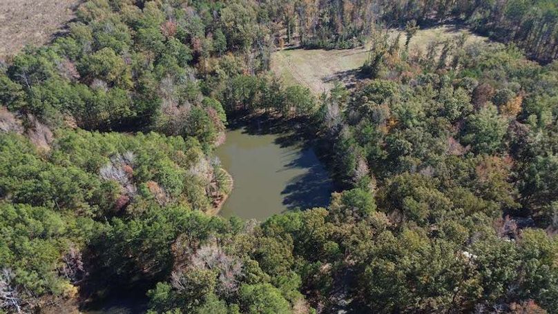 jeff 5020251111_0289