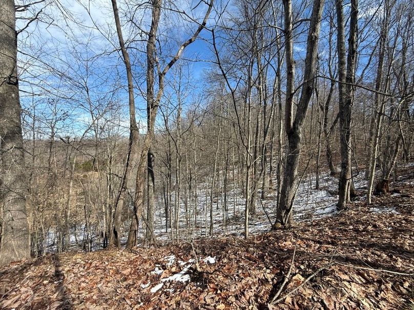 019 view down into the valley from the ridge in the middle area of the property