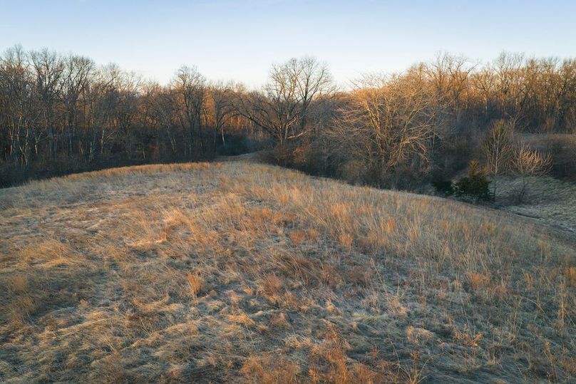 DJI_20260228065939_0280_D