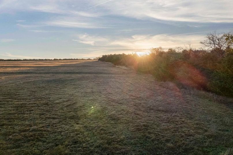 Hunt County- 44.51 acres (8 of 29)