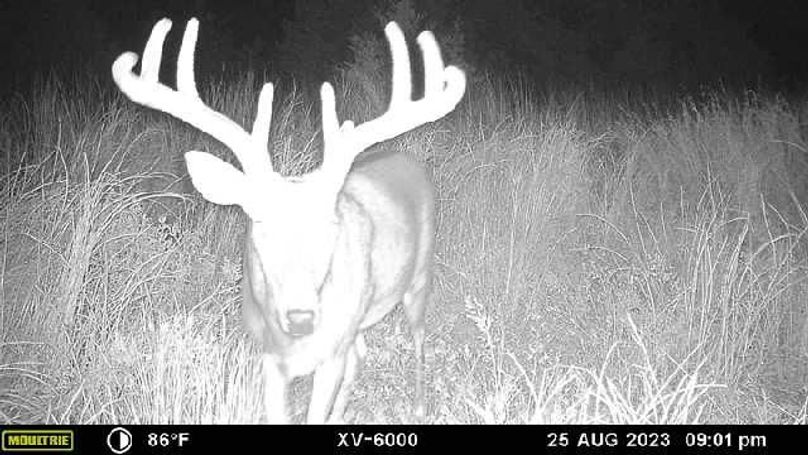 image638376235686108431