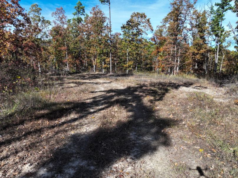 DJI_20251104130730_0853_D