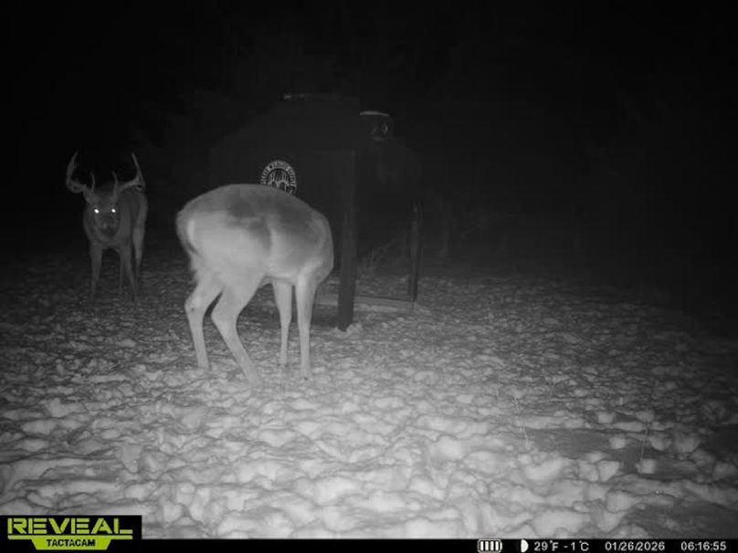 864049055449112-100-2-01262026061716-V-W1068788