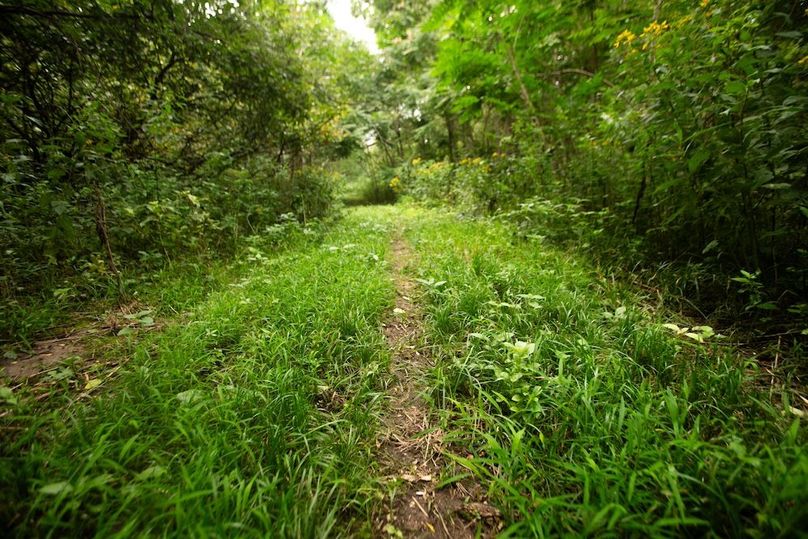 FREMONT CO IA 159.05_22