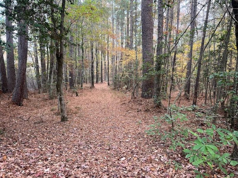 Dal_40_Denton20251117_0348