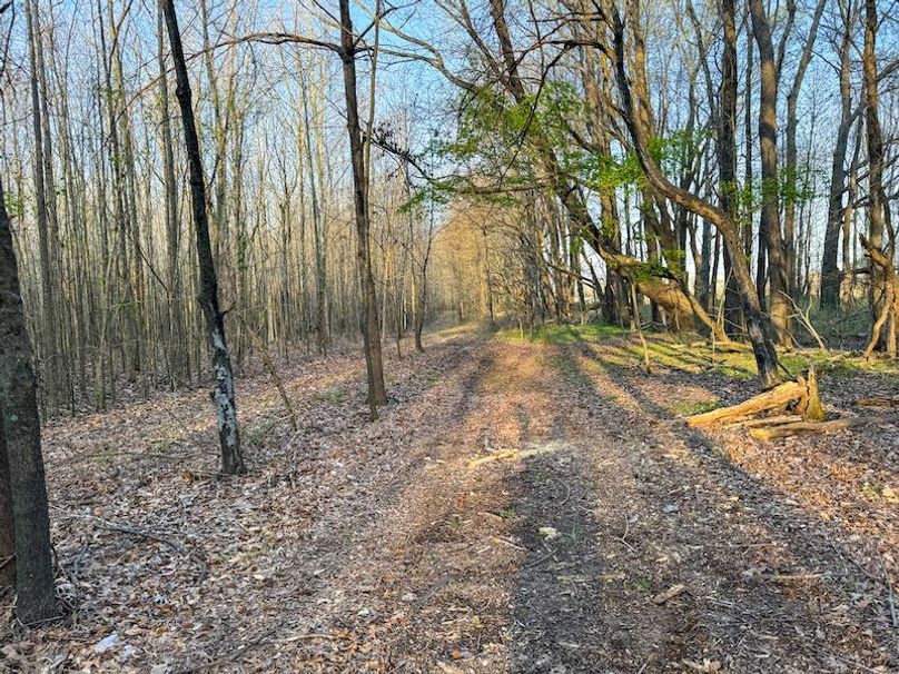 Panola 164.7 SPI Land Ventures-68