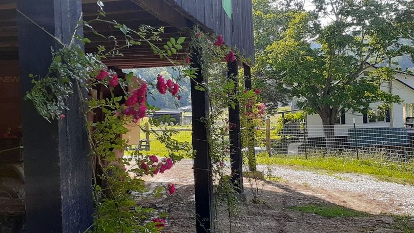 011 that summer feel as I round the corner at the barn-2