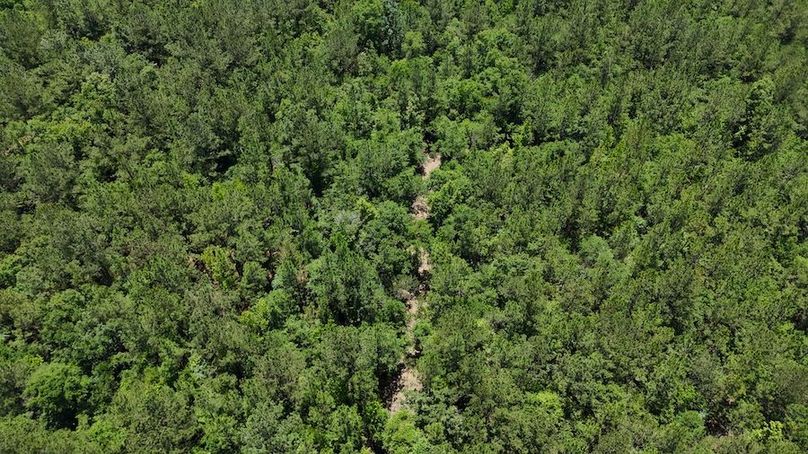 DJI_20240516124750_0031_D