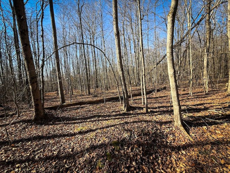 Chemung_31.75_Seymour_North_Photos_12