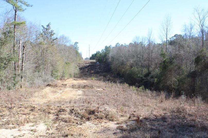 BDCCBCA1-3FA4-4759-8152-4C8BB97FD506_1_105_c