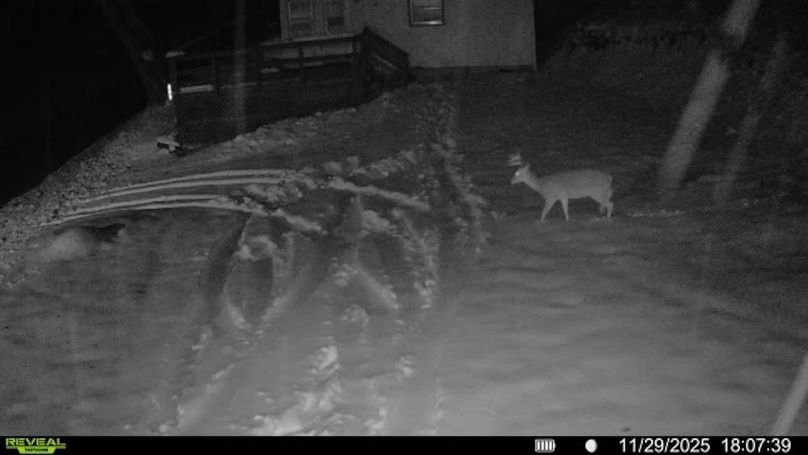 2F1ED89D-2FD6-4B07-8C54-AEEF79375E40_4_5005_c