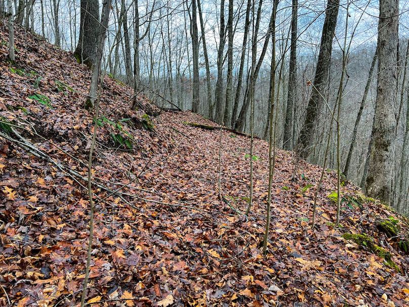 Calhoun, WV 225.69 AC Duffield-46
