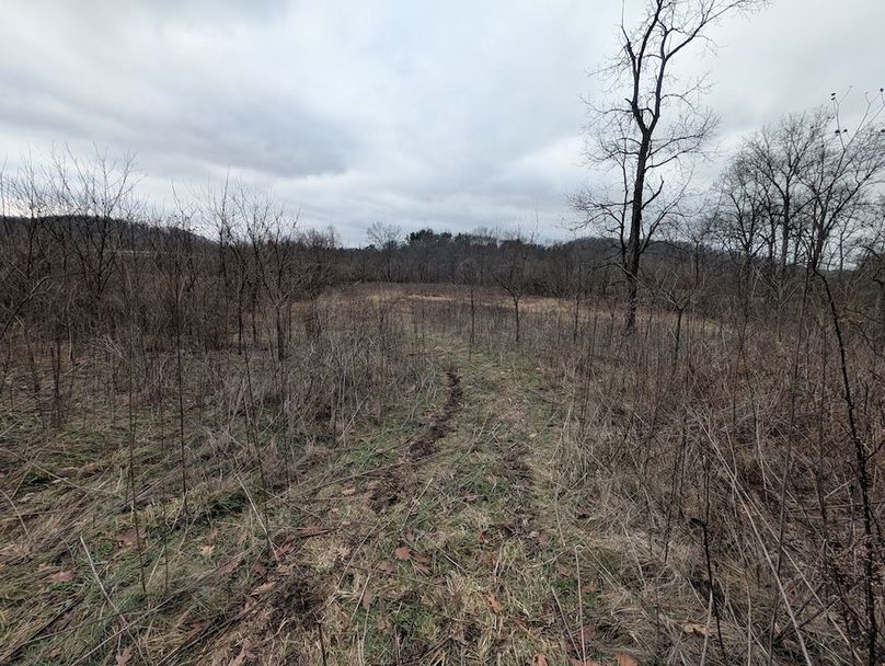 PXL_20260107_184054541