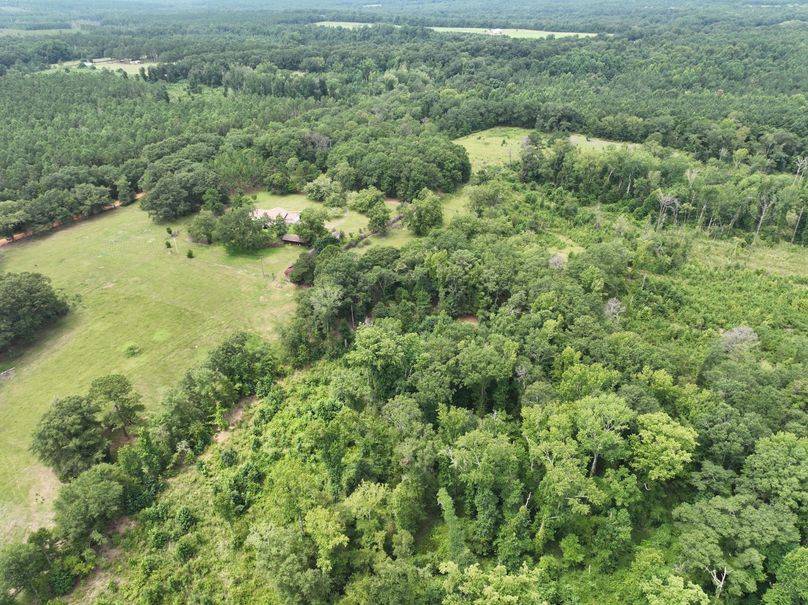 dji_fly_20230803_122640_485_1691080403411_photo