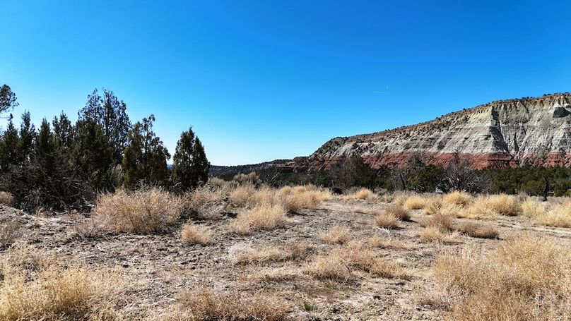 DJI_20240403110844_0133_D