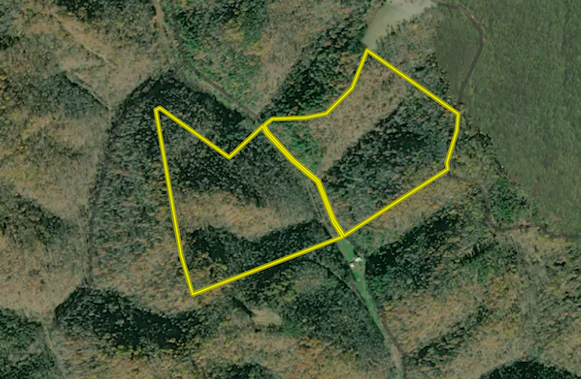 Screenshot 2024-07-09 at 10.39.22 AM