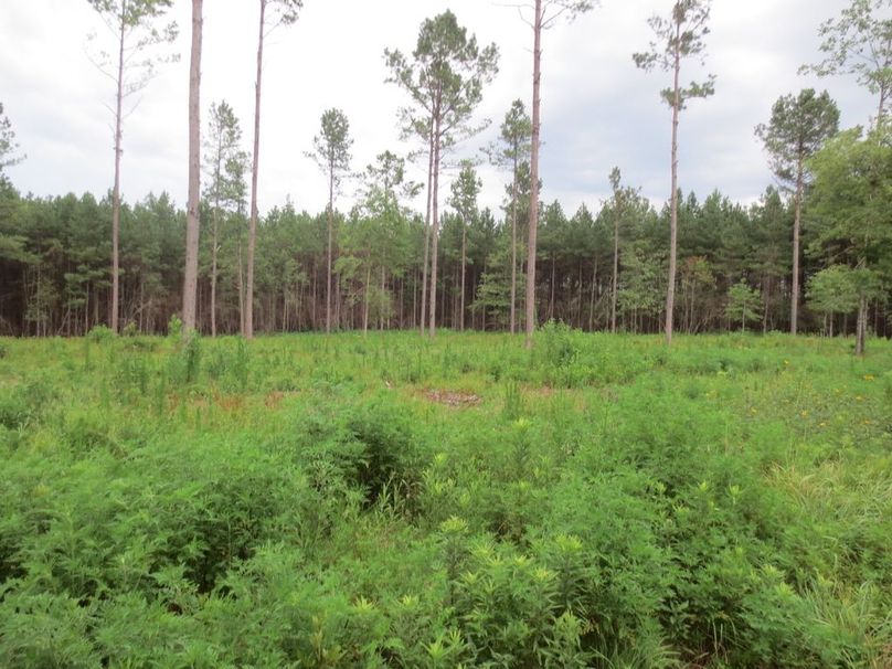 2964A133-AAB7-47FD-A06E-BF137BF58E69_1_105_c