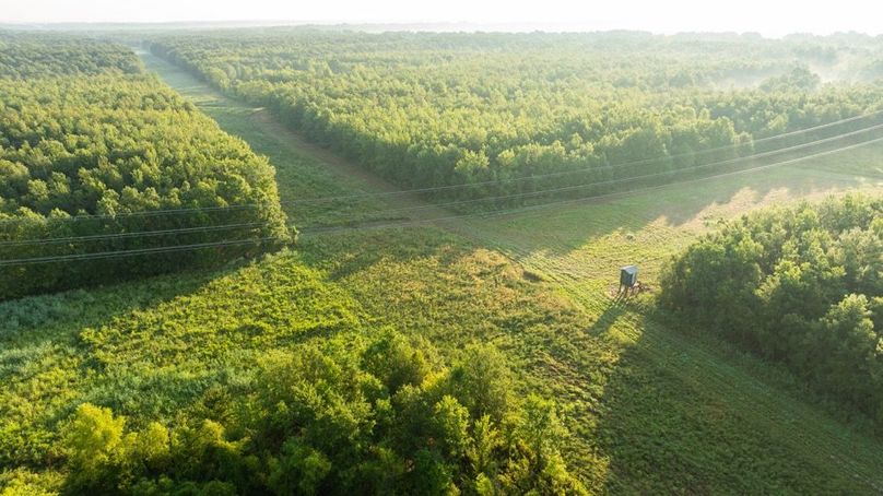 MadisonParLa1372-081