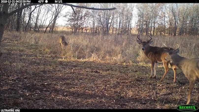 2018-12-21 16-32-39 M 1_1