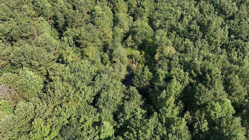 DJI_20250627094841_0096_D