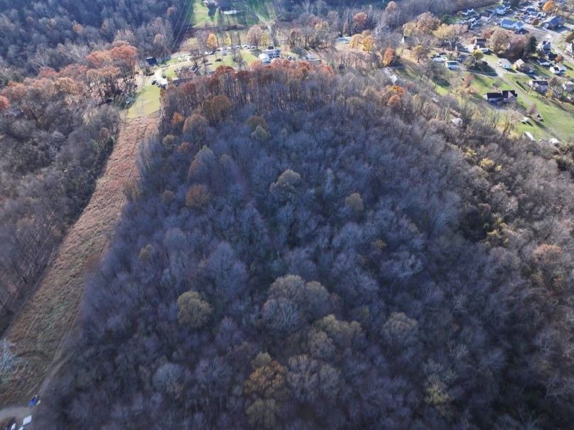 DJI_20241108042152_0574_D (Medium)