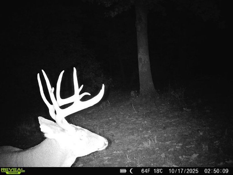 860516062938992-100-3-10172025025008-W1021405