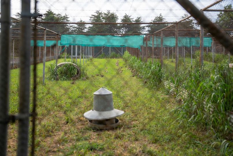 Orvis Listing Photos50