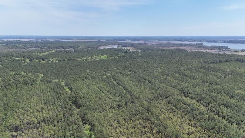 dji_fly_20250424_133850_0037_1745525991171_photo