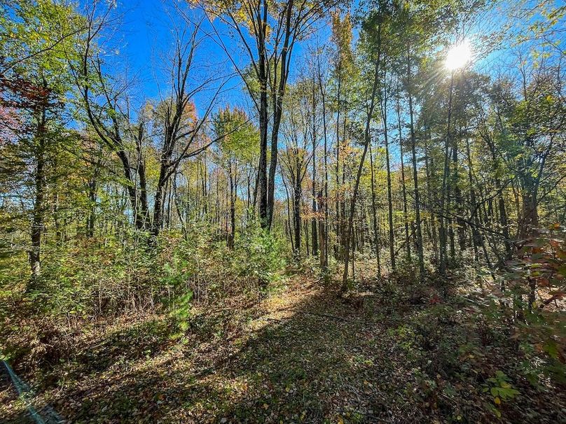 Wood 41.451, Collins -28