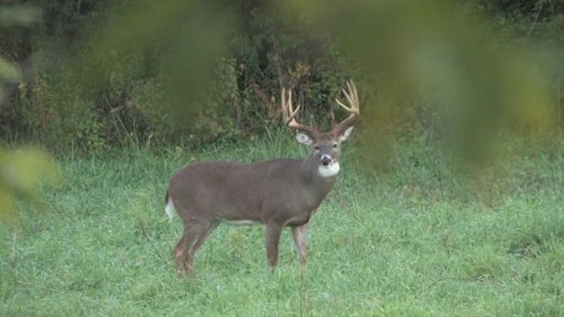 Copy of normal_180buck_003[1]